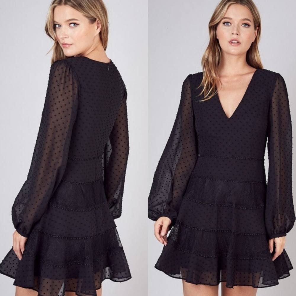 Elegant Dotted Swiss Lace Trim Long Sleeve Black Dress